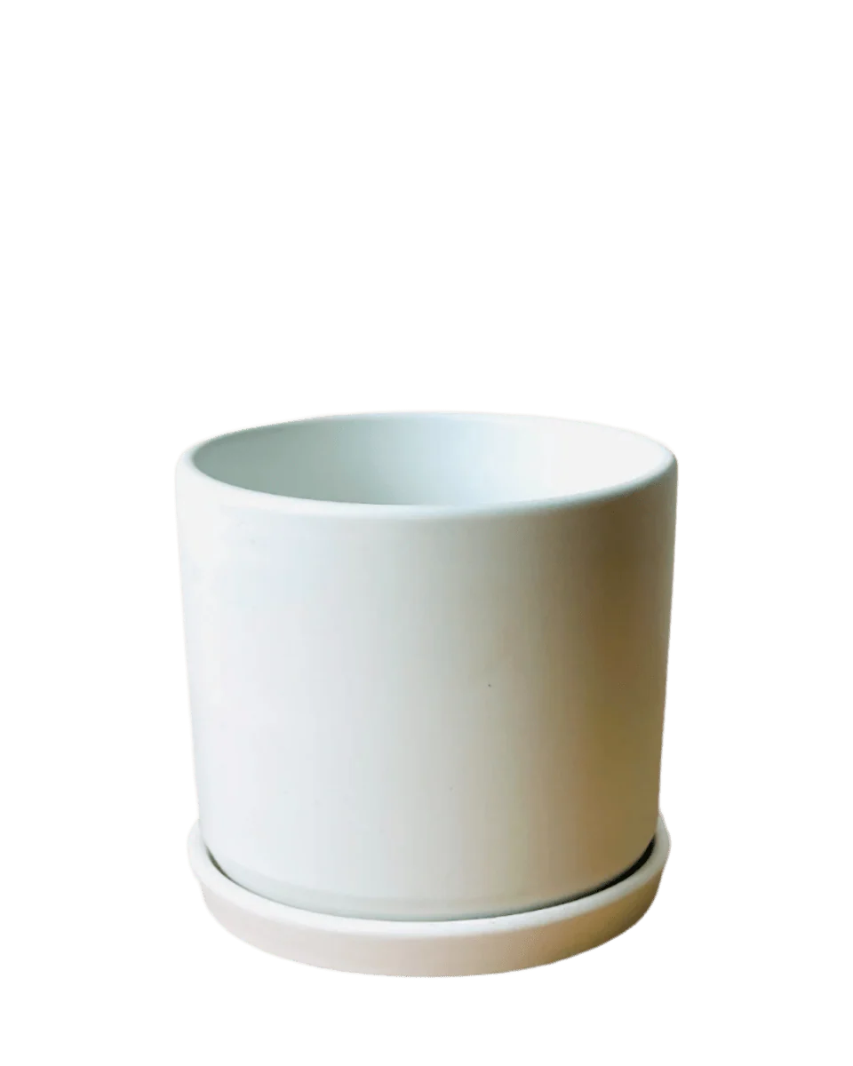 Abigail Pot with Tray - Image 3