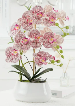 Abundance Royal Phalaenopsis - (Life-like Artificial) - Image 14