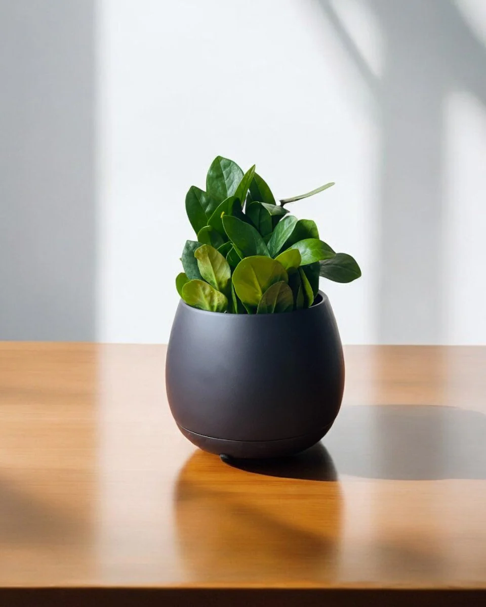 Addie Planter - Image 2