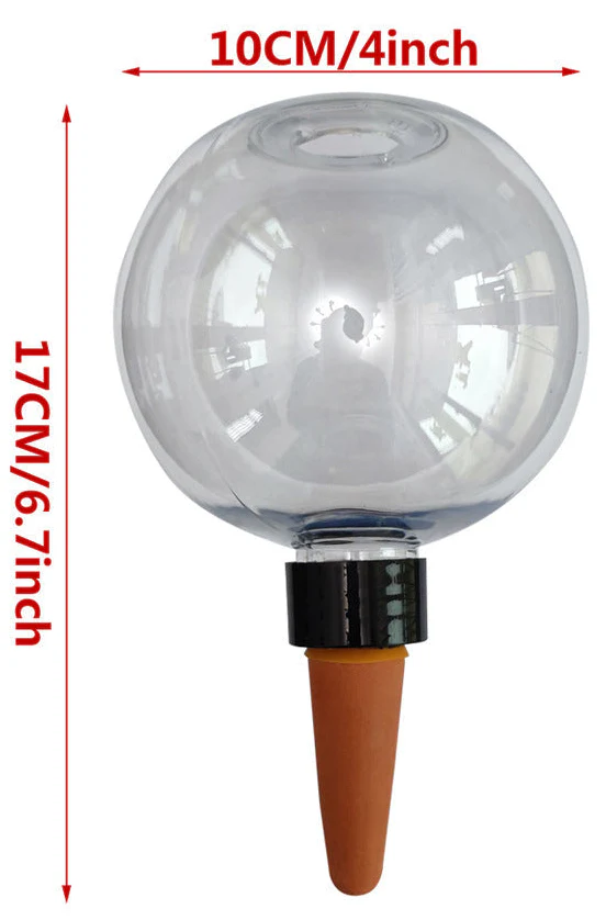 AquaSphere Automatic Self-Watering Globe - Image 2