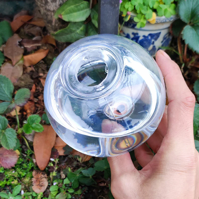 AquaSphere Automatic Self-Watering Globe - Image 4
