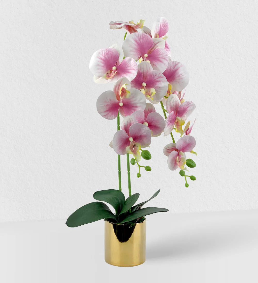 Artificial Crown Phalaenopsis (Life-like Artificial) - Image 2