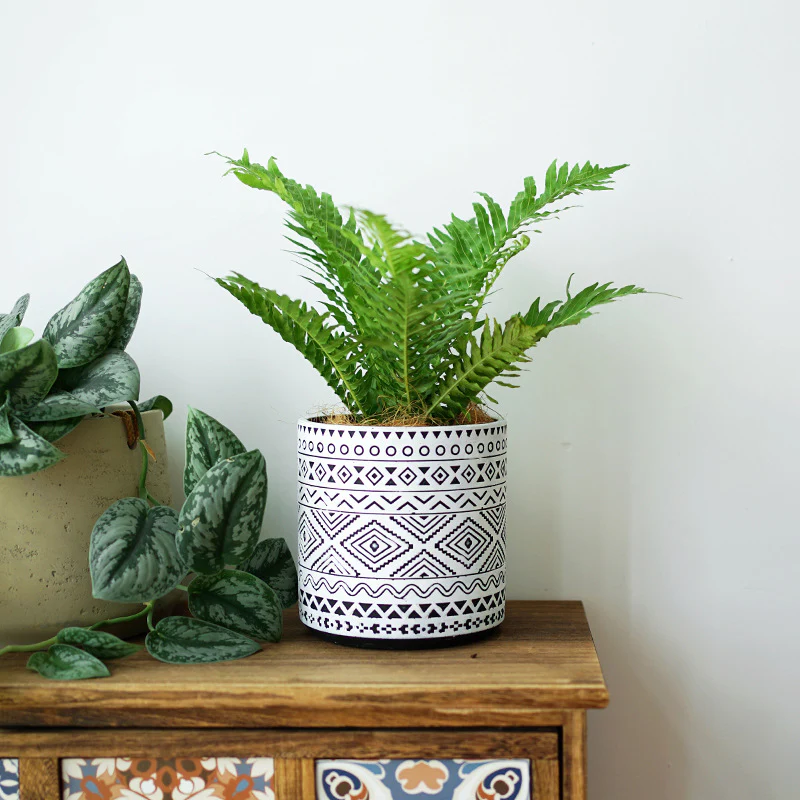 Aztec Cement Pot - Image 4
