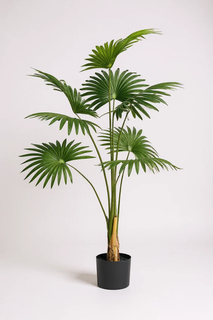Bamboo Palm (Life-life Artificial) - Image 13