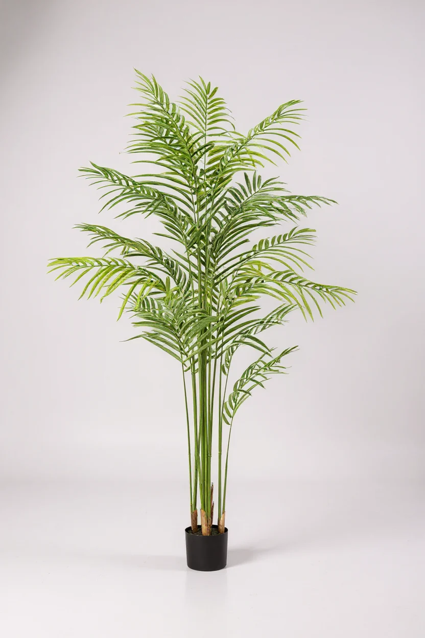 Bamboo Palm (Life-life Artificial) - Image 15