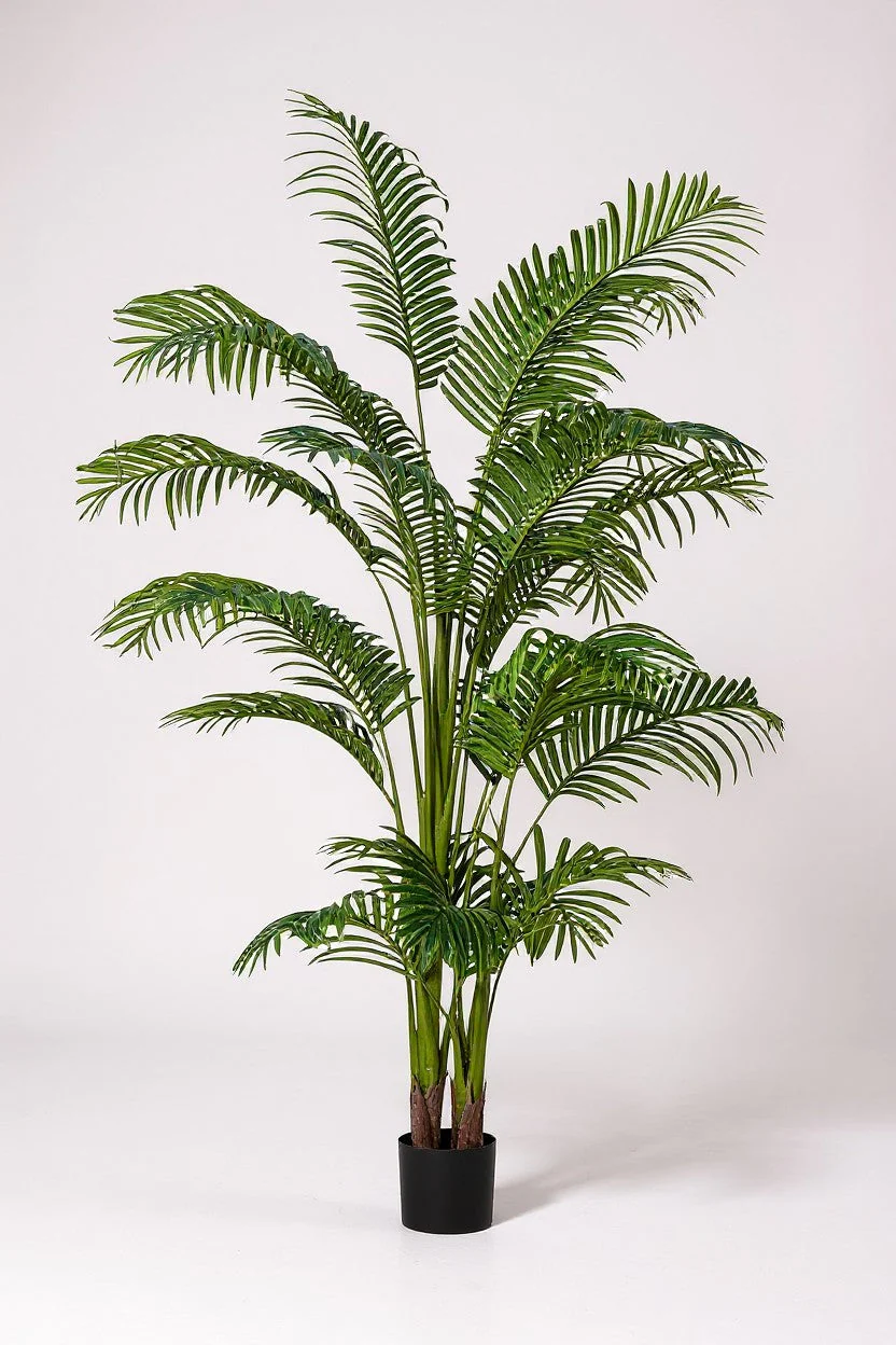 Bamboo Palm (Life-life Artificial) - Image 20
