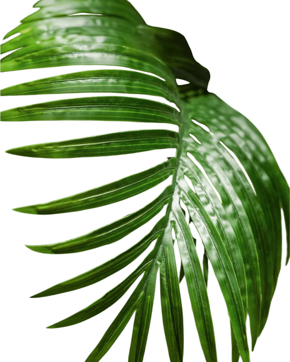 Bamboo Palm (Life-life Artificial) - Image 24
