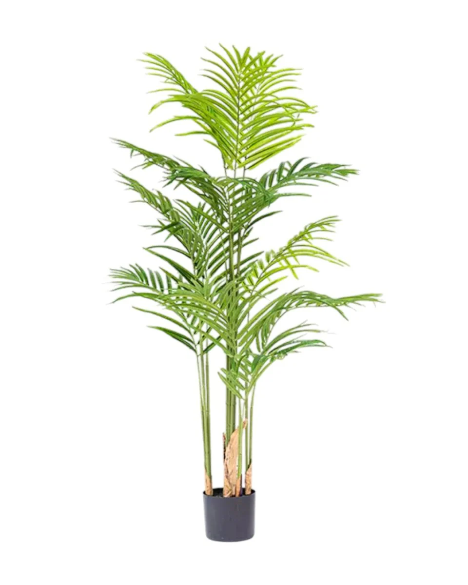 Bamboo Palm (Life-life Artificial) - Image 25