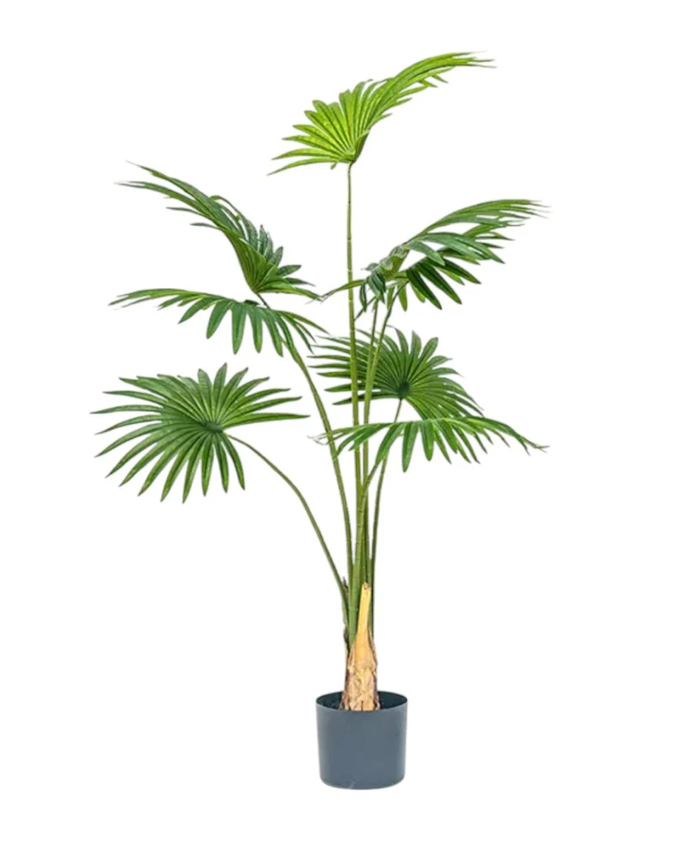 Bamboo Palm (Life-life Artificial) - Image 26