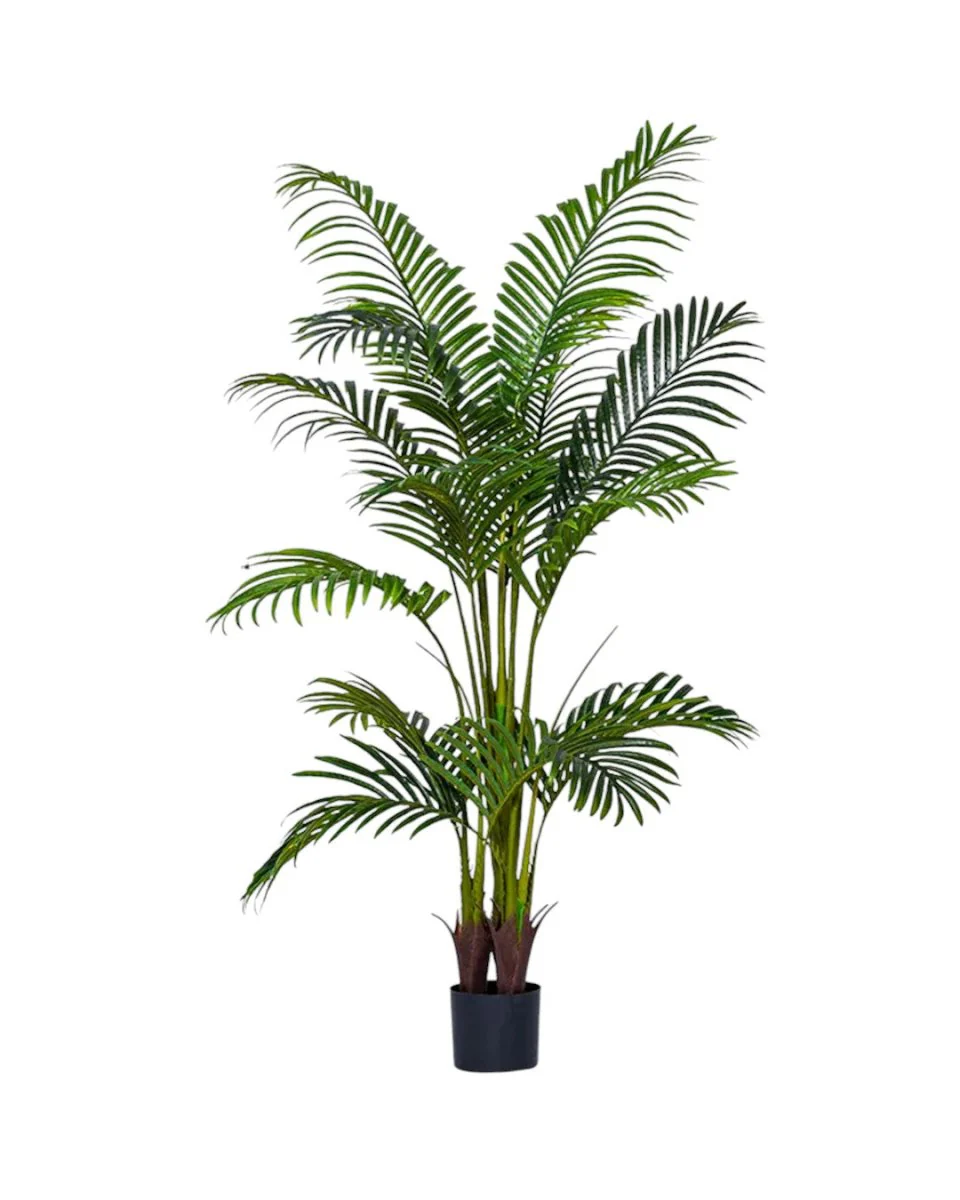 Bamboo Palm (Life-life Artificial) - Image 28