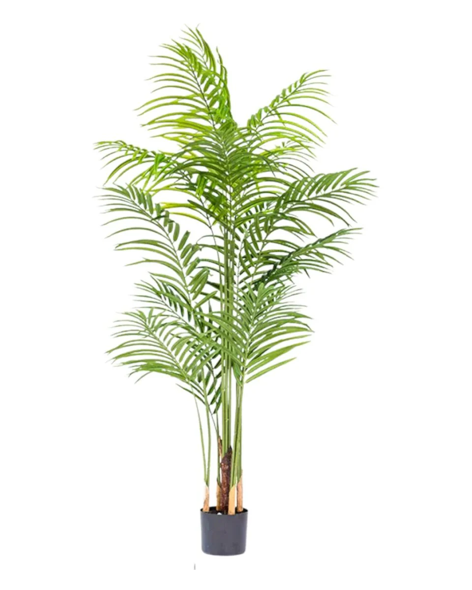 Bamboo Palm (Life-life Artificial) - Image 30