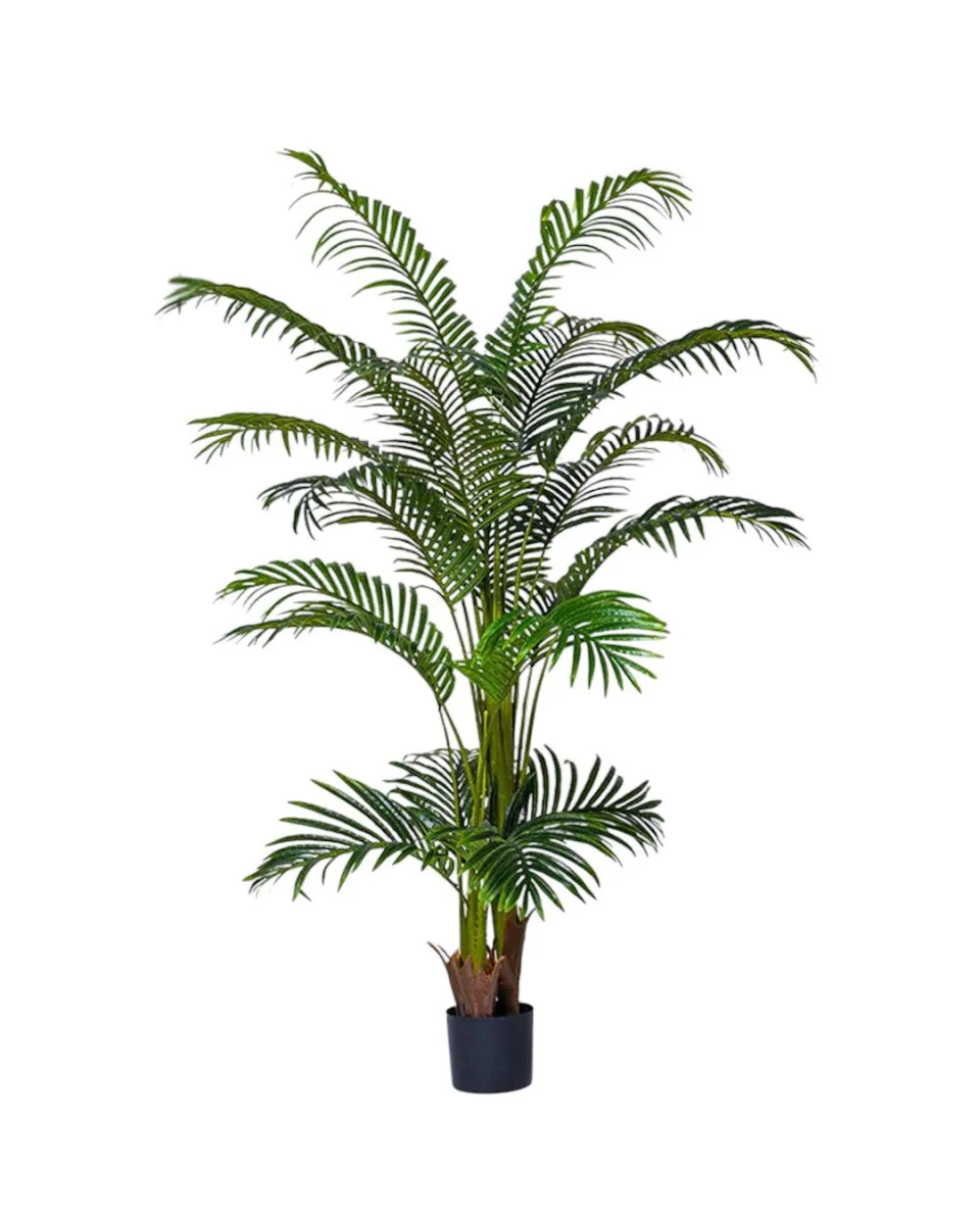 Bamboo Palm (Life-life Artificial) - Image 32