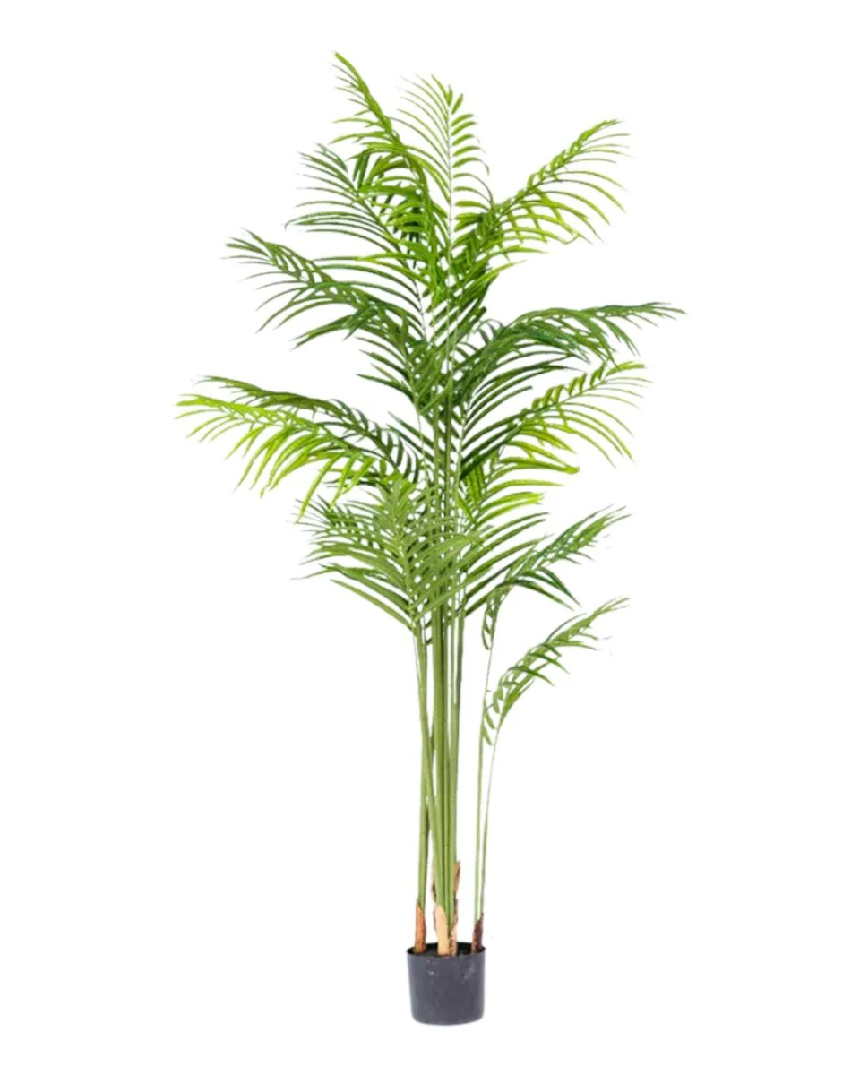 Bamboo Palm (Life-life Artificial) - Image 33