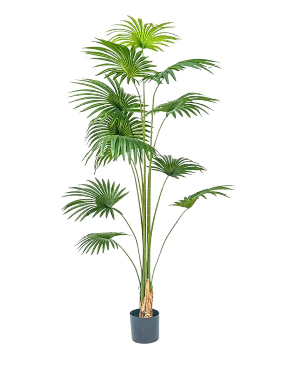 Bamboo Palm (Life-life Artificial) - Image 34