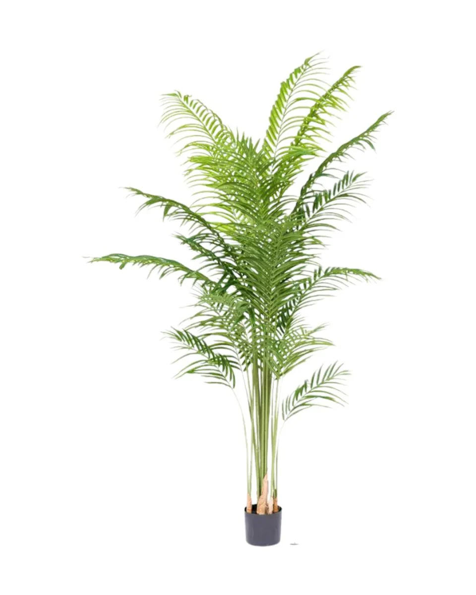 Bamboo Palm (Life-life Artificial) - Image 35