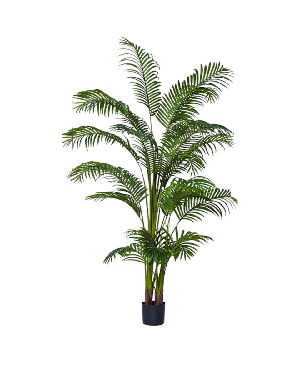 Bamboo Palm (Life-life Artificial) - Image 36