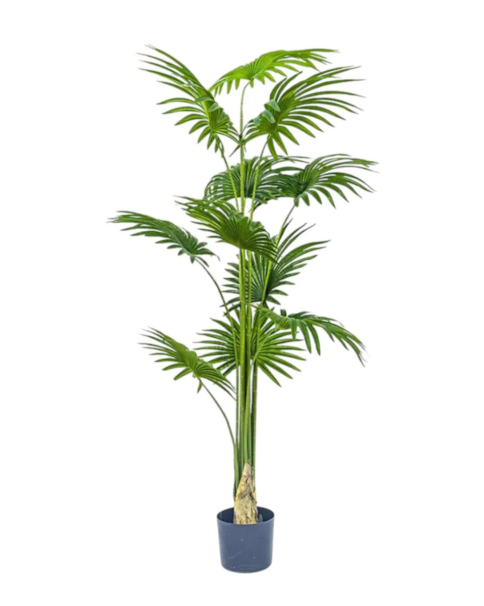 Bamboo Palm (Life-life Artificial) - Image 37