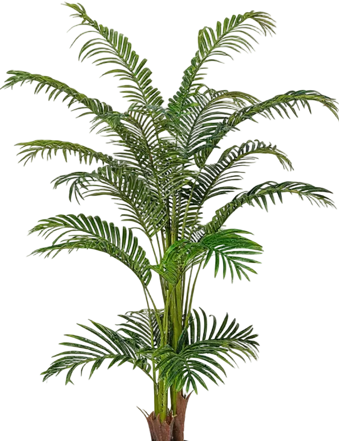 Bamboo Palm (Life-life Artificial) - Image 42