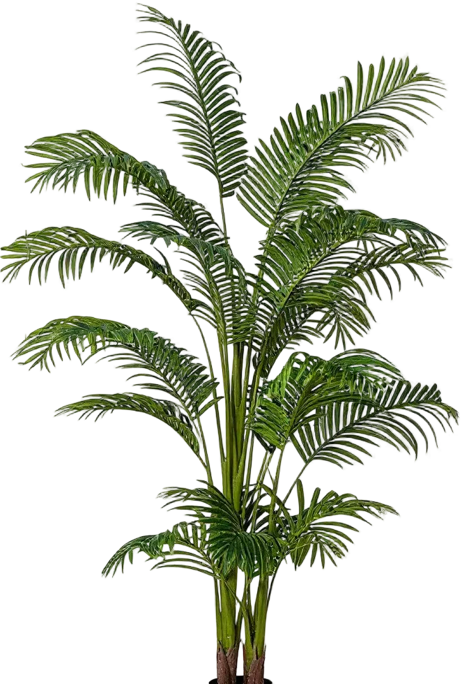 Bamboo Palm (Life-life Artificial) - Image 43