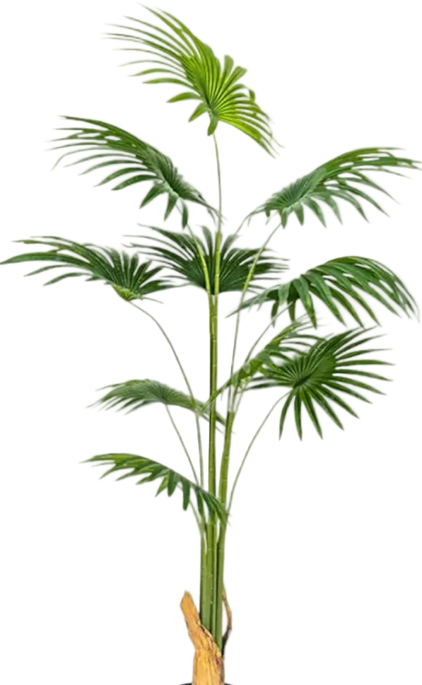 Bamboo Palm (Life-life Artificial) - Image 45