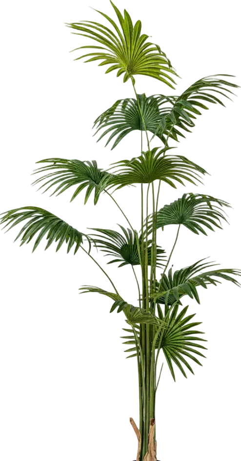 Bamboo Palm (Life-life Artificial) - Image 46