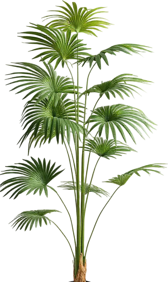 Bamboo Palm (Life-life Artificial) - Image 47