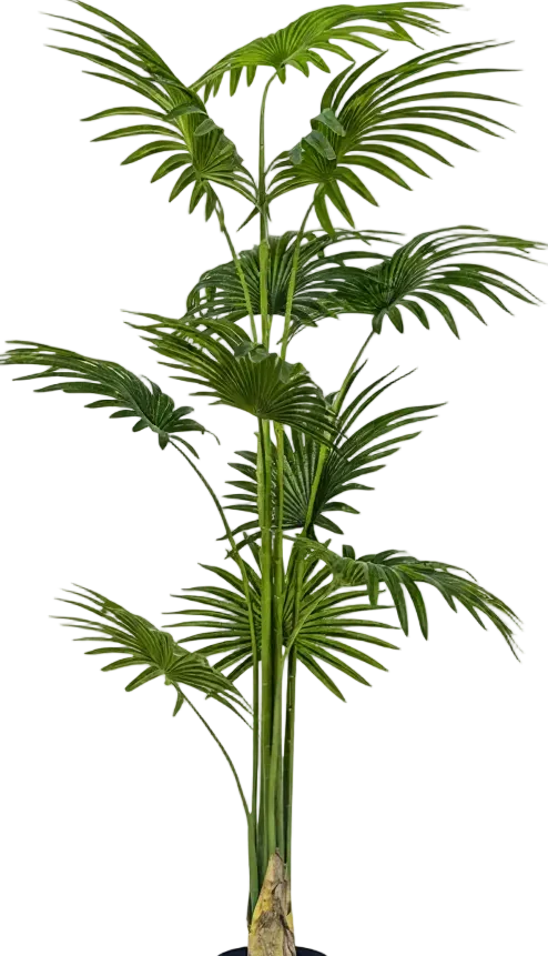 Bamboo Palm (Life-life Artificial) - Image 48