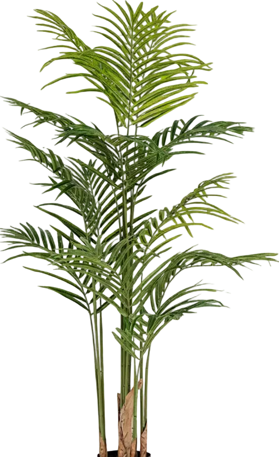 Bamboo Palm (Life-life Artificial) - Image 49