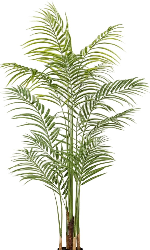 Bamboo Palm (Life-life Artificial) - Image 50