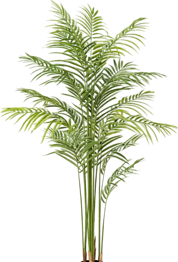 Bamboo Palm (Life-life Artificial) - Image 51