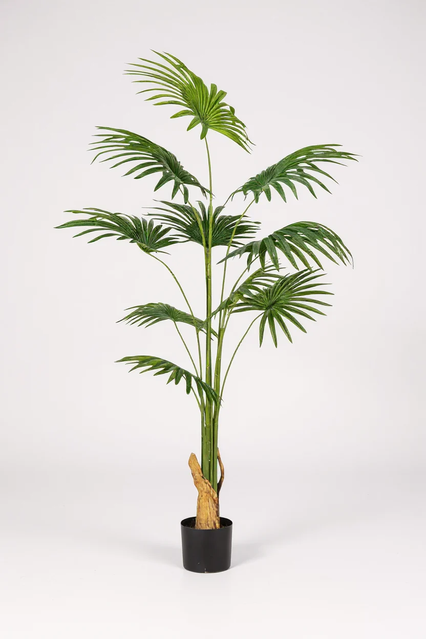 Bamboo Palm (Life-life Artificial) - Image 6