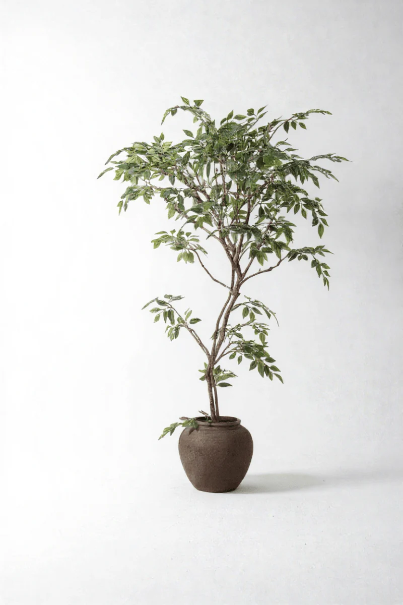 Banyan Tree - Real-Trunk Artificial - Image 15