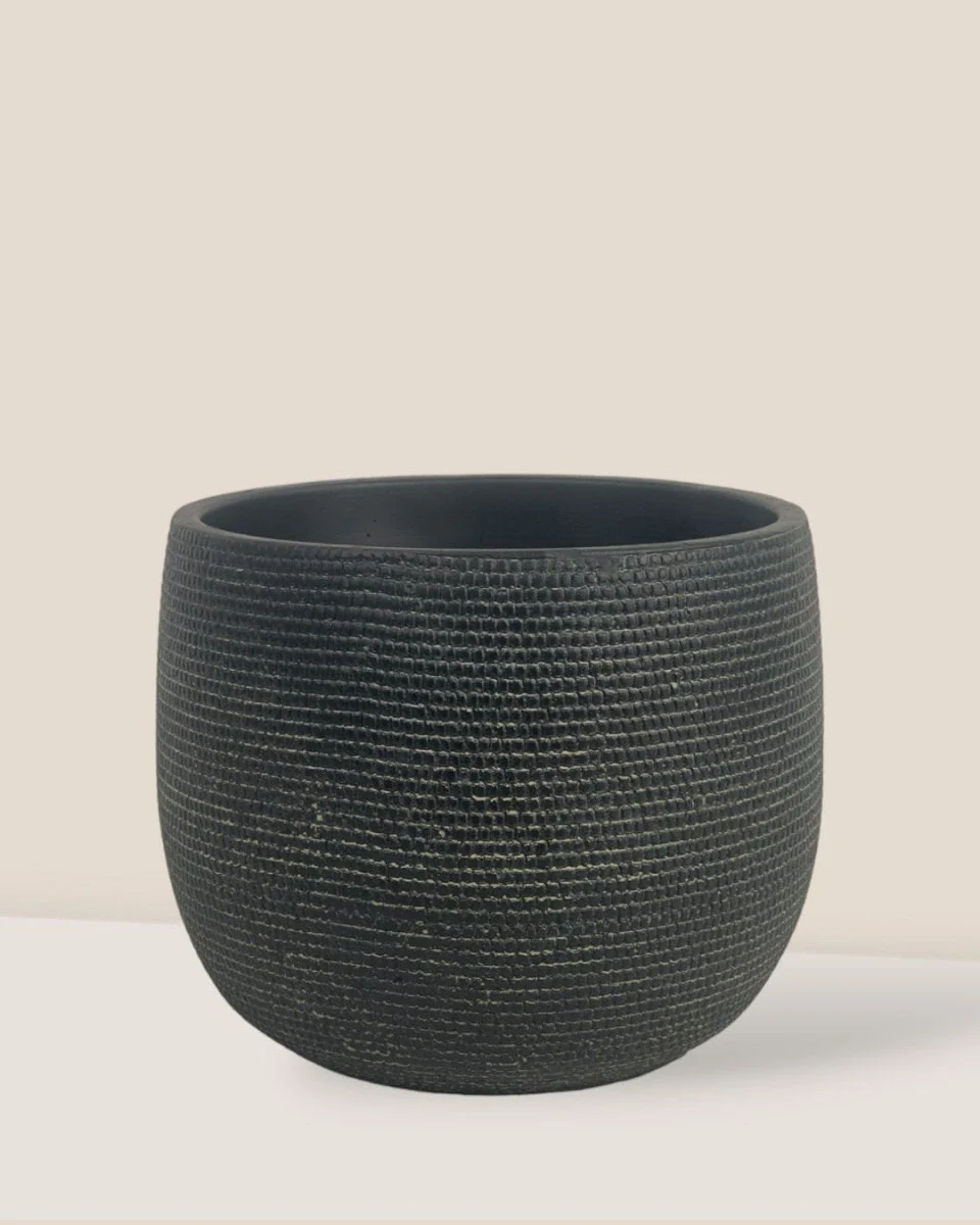 Bauble Planter - Image 4