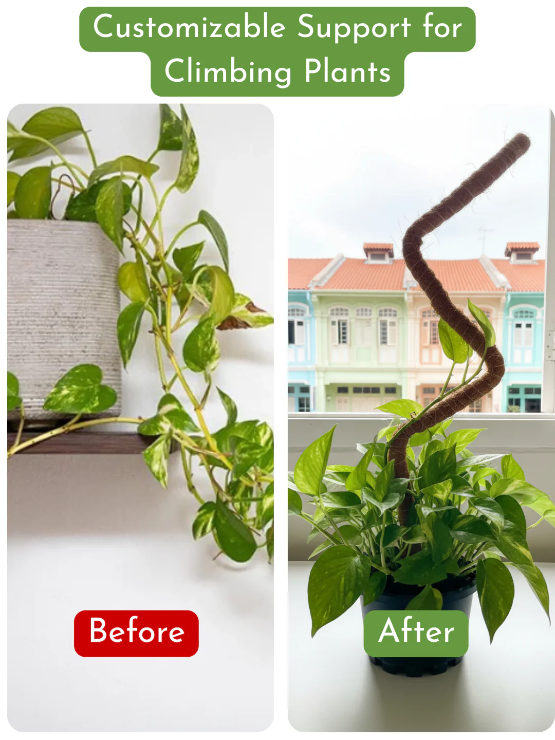 Bendable Moss Pole - Image 4