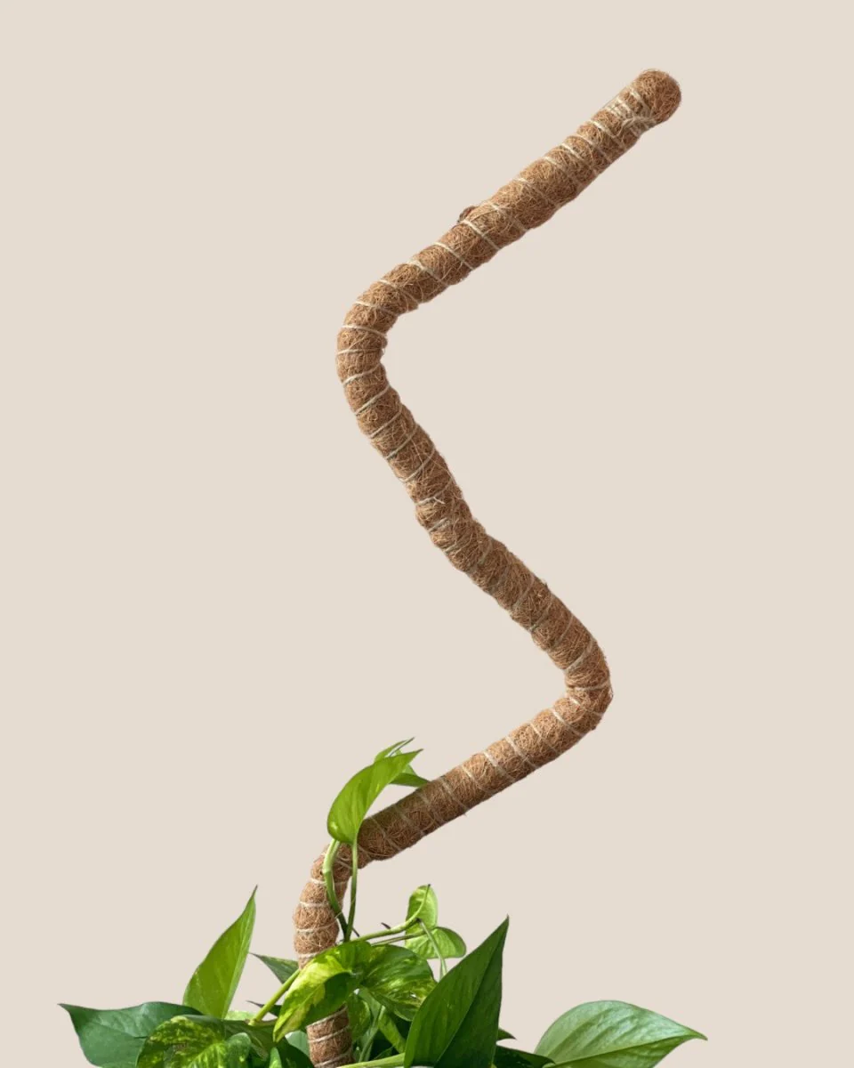 Bendable Moss Pole - Image 9