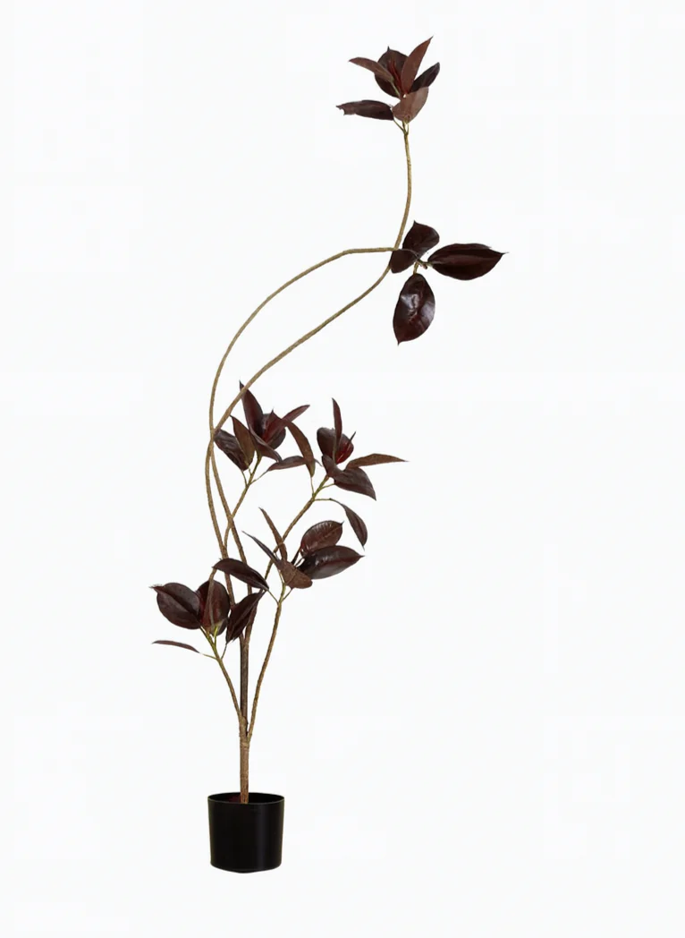 Black Diamond Rubber Tree (Life-like Artificial) - Image 2