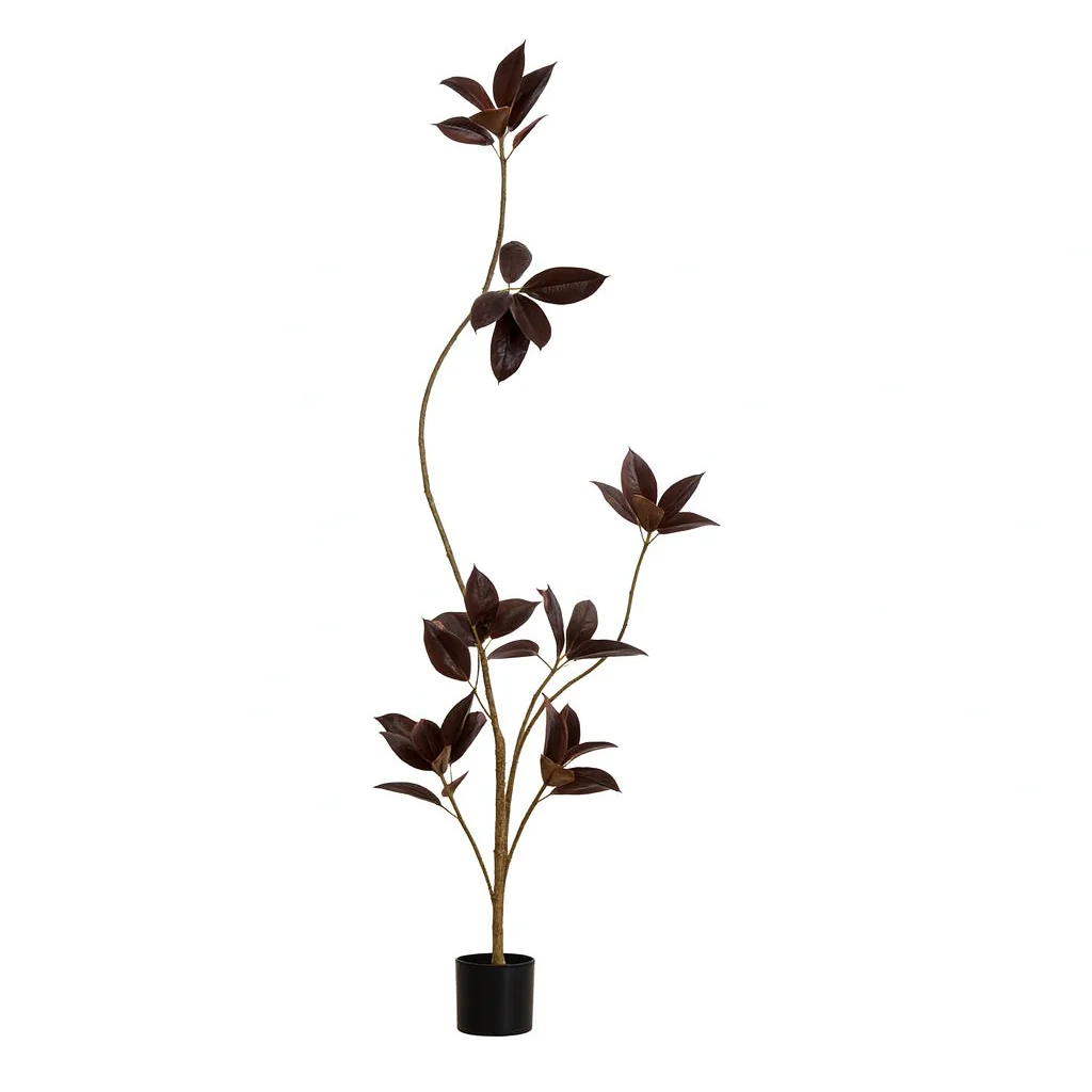 Black Diamond Rubber Tree (Life-like Artificial) - Image 4