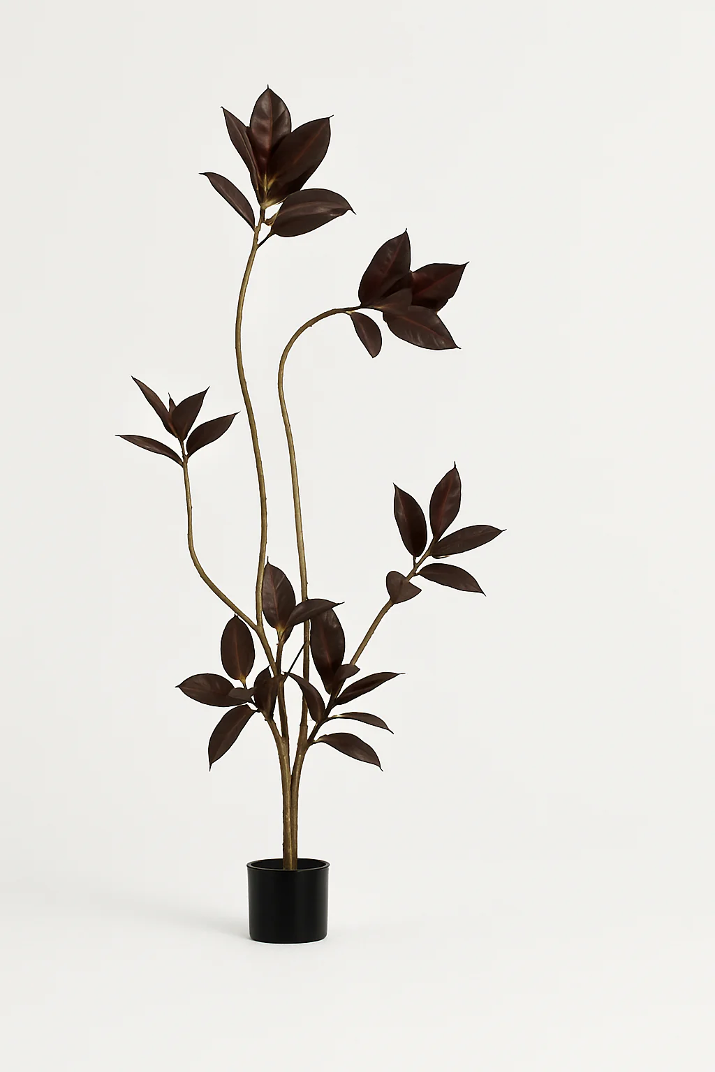 Black Diamond Rubber Tree (Life-like Artificial) - Image 5
