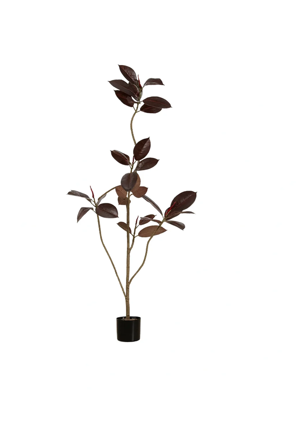 Black Diamond Rubber Tree (Life-like Artificial) - Image 6