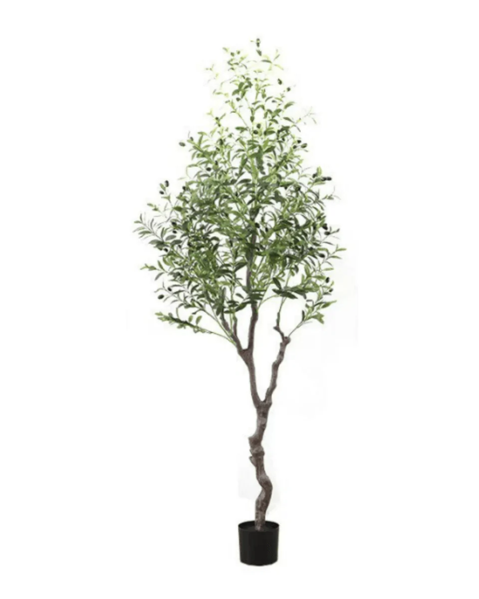 Olive Tree (Life-like Artificial) - Image 10