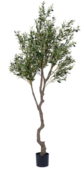 Olive Tree (Life-like Artificial) - Image 14