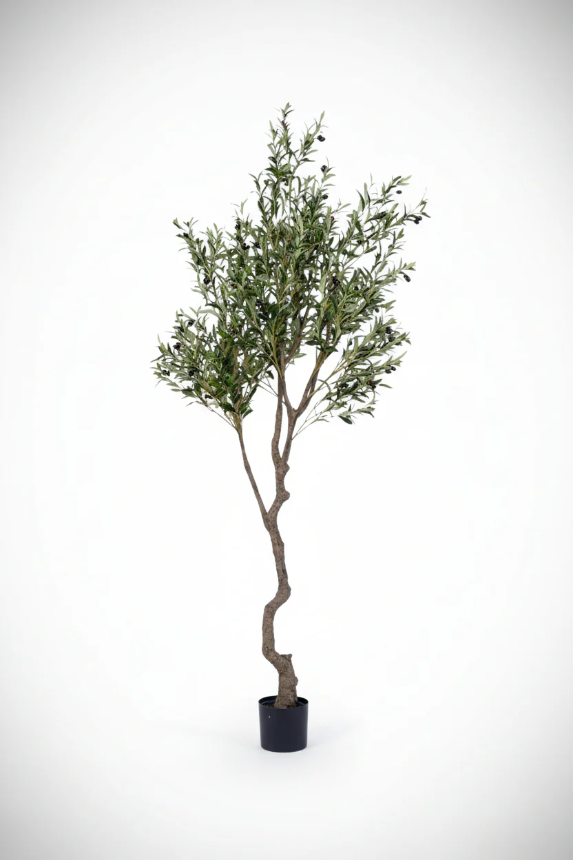 Olive Tree (Life-like Artificial) - Image 18