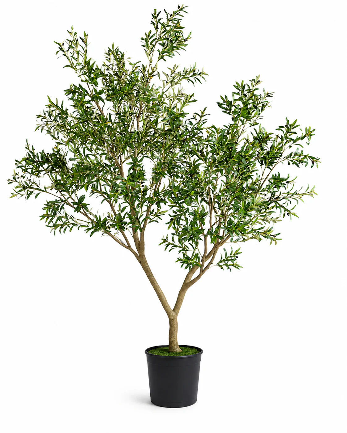 Olive Tree (Life-like Artificial) - Image 19