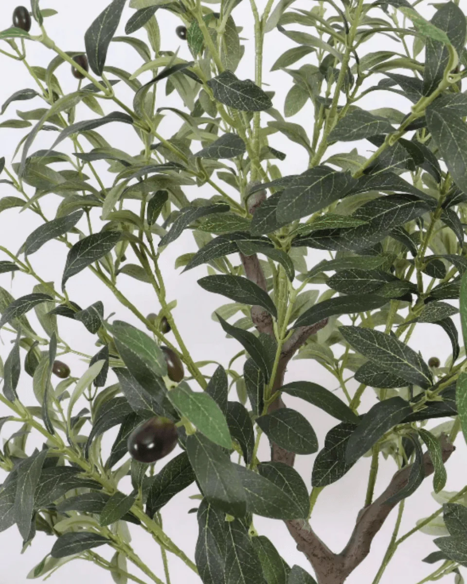 Olive Tree (Life-like Artificial) - Image 2