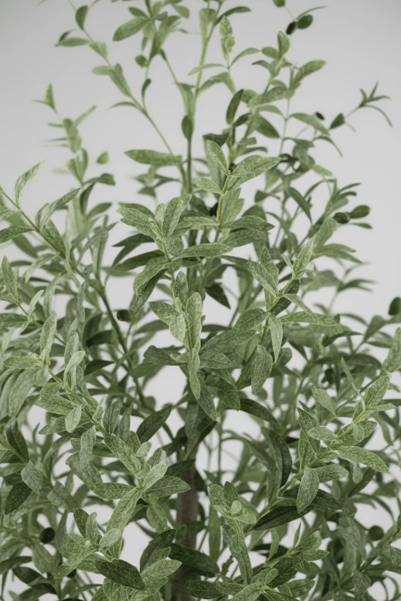 Olive Tree (Life-like Artificial) - Image 7