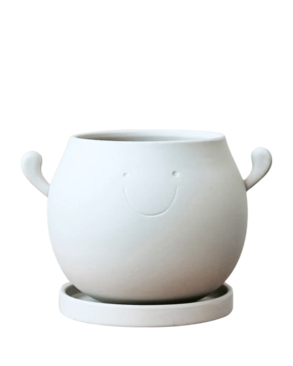 Cheer Planter - Image 6
