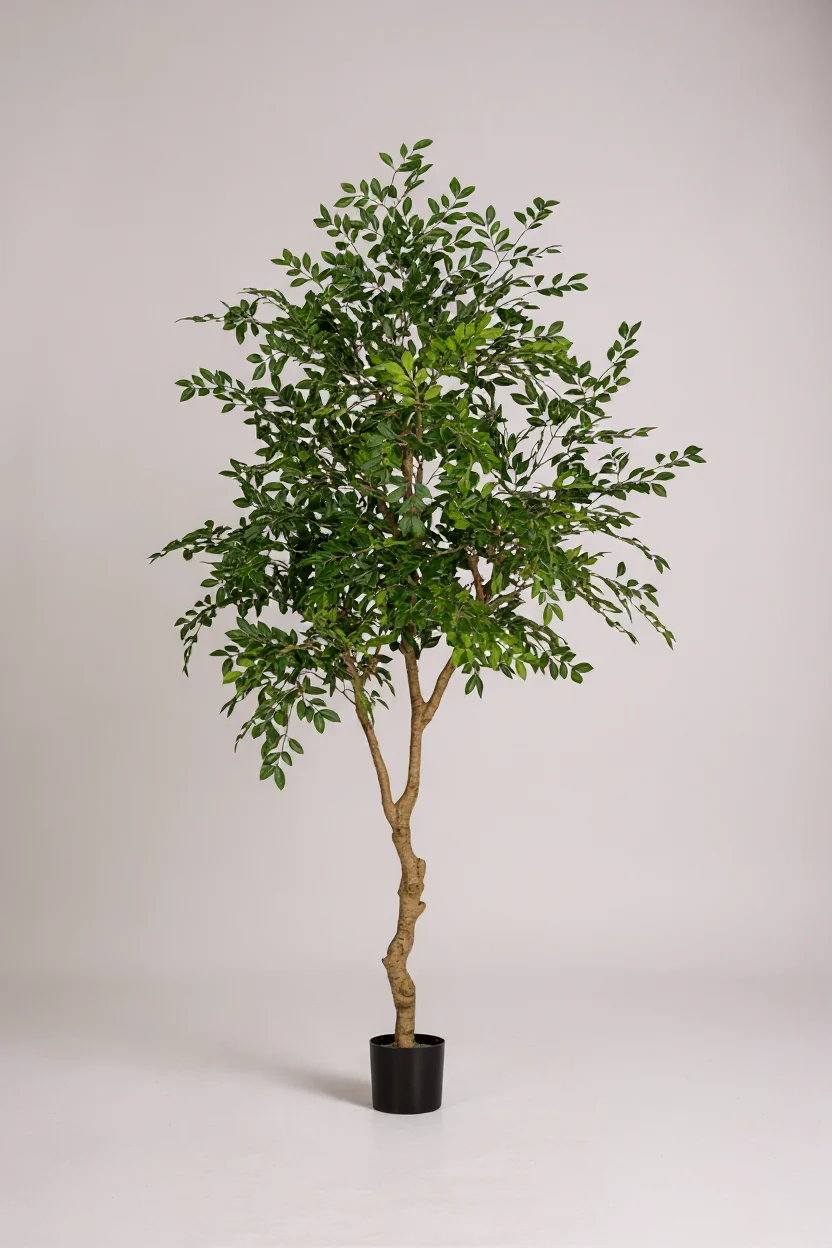 Chinese Money Tree (Life-like Artificial) - Image 16