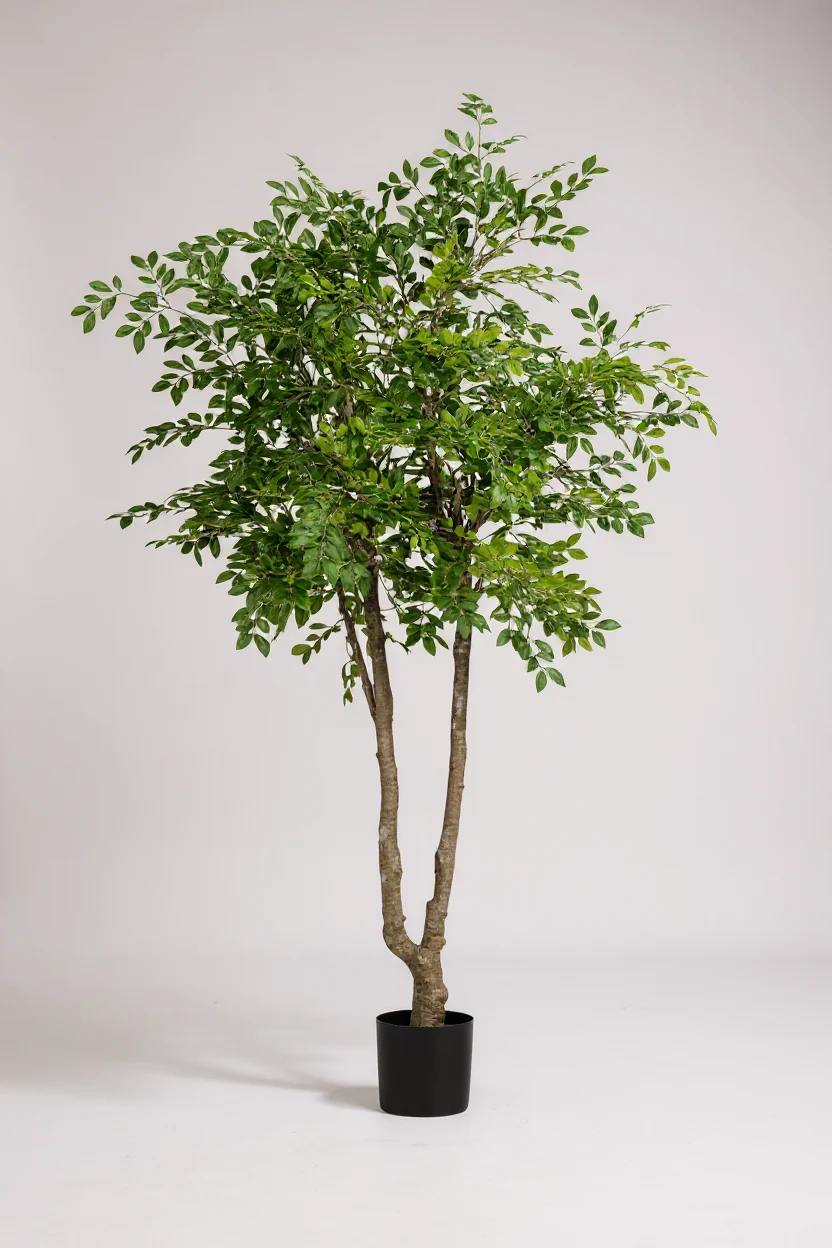 Chinese Money Tree (Life-like Artificial) - Image 17