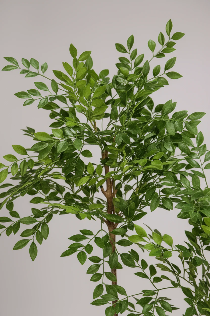 Chinese Money Tree (Life-like Artificial) - Image 2