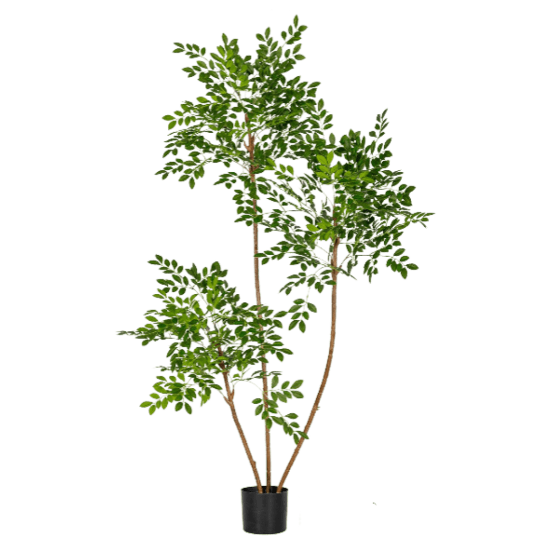 Chinese Money Tree (Life-like Artificial) - Image 31